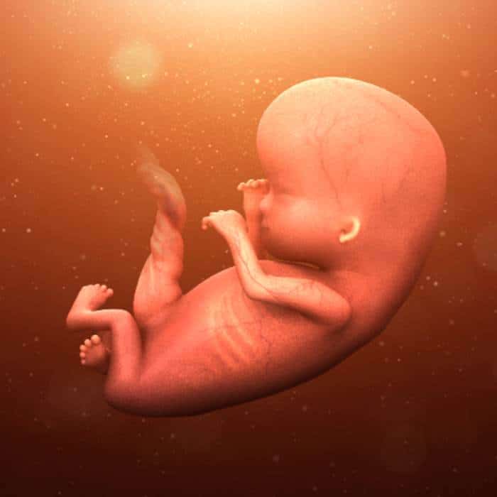 week 12