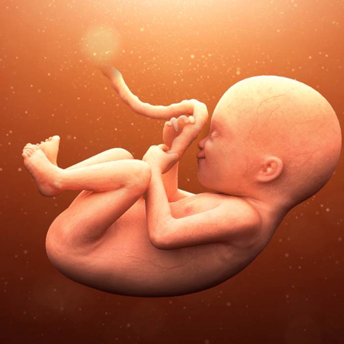 week 29